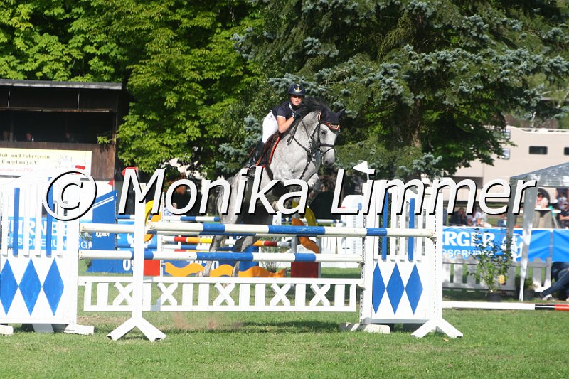 308M0617_Spring Mx.JPG